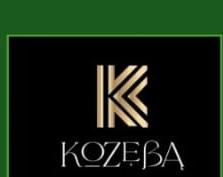 Client Logo 4